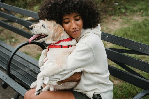 The Ultimate Guide to the Best Emotional Support Dogs